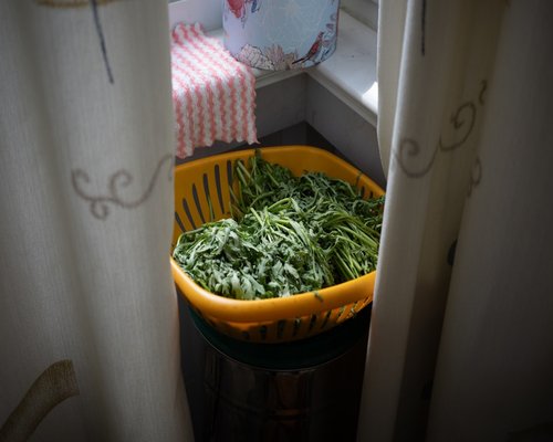 Washing fresh vegetables in a colander
